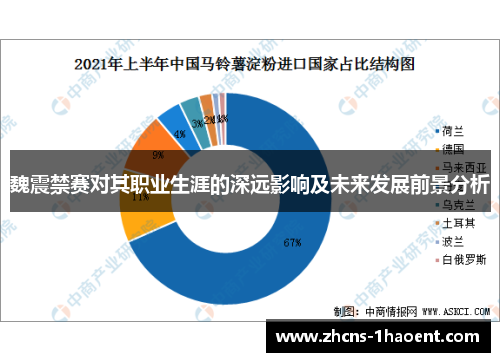 魏震禁赛对其职业生涯的深远影响及未来发展前景分析 魏震禁赛对其职业生涯的深远影响及未来发展前景分析