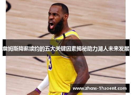 詹姆斯降薪续约的五大关键因素揭秘助力湖人未来发展 詹姆斯降薪续约的五大关键因素揭秘助力湖人未来发展