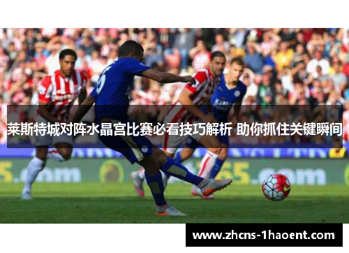 莱斯特城对阵水晶宫比赛必看技巧解析 助你抓住关键瞬间
